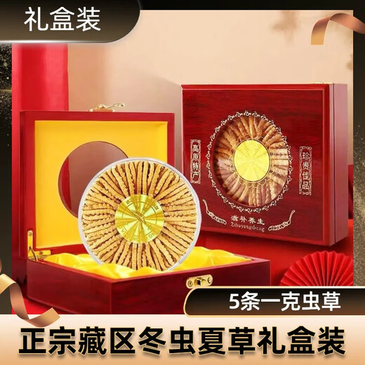 Cordyceps, Cordyceps sinensis, Cordyceps gift box, nutritional supplements, health products, gifts, wine stew, authentic Tibetan 5 cordyceps, 1 gram smaller cordyceps, authentic cordyceps 20g pack