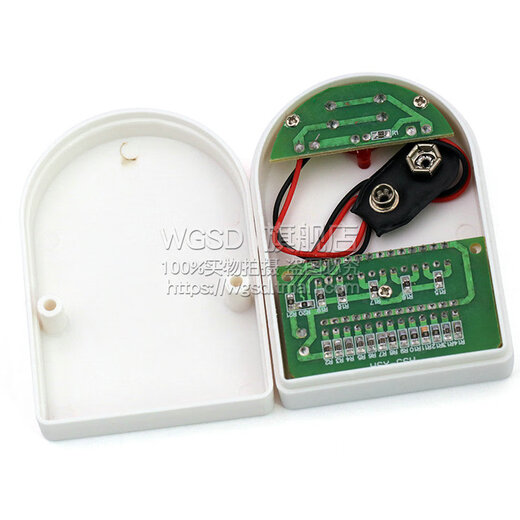 Dafurui LED light test box instrument light-emitting diode detector comes with batteries and 10 test lights default