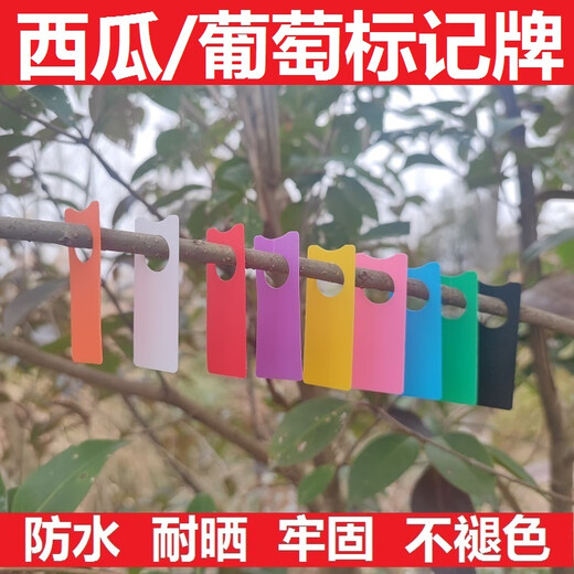 BENXINNONG uva sandía polinización signo signo tarjeta de color tarjeta de plástico etiqueta de color listado clasificación no se decolora HXM1 color mezclado 4000 piezas (4 colores cada 1000)