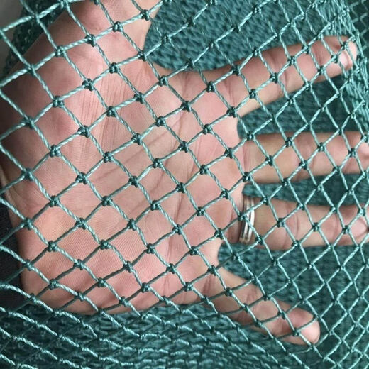 Chicken net, chicken net, fishing net, breeding net, fence net, nylon vegetable garden fence, climbing vine grid, chicken net, protective fish net, thickened 18 strands, 3 cm thickened ribs, 2 meters high and 100 meters long