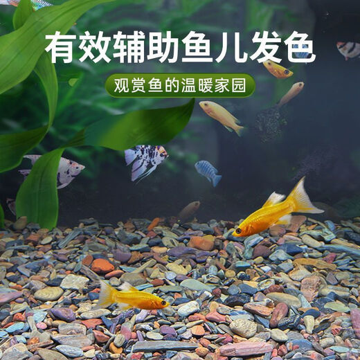Stream stone ultra-fine bottom sand fish tank turtle tank bottom sand stream sand bottom stone fish tank landscaping stone native stone 3 to 5 cm 30-50 g