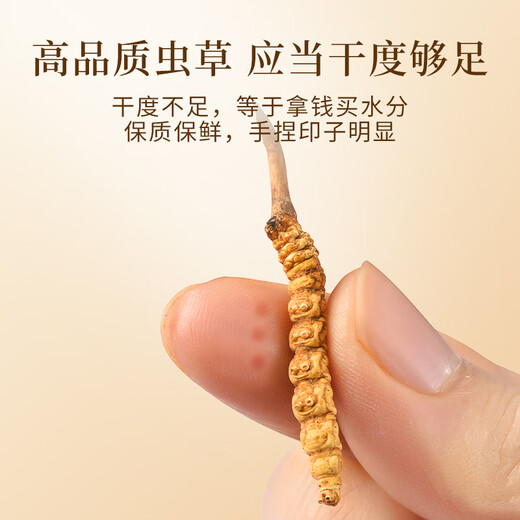 万草康仁冬虫夏草精选草藏区鲜干虫草滋补营养送母亲节礼物滋补品送长辈 3根/克 50g（礼盒装）送同款2g+藏红花*2