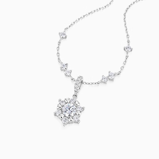 Catillo Edelweiss Necklace Women's S925 Silver Pendant Clavicle Chain Gift for Wife and Girlfriend 999 Silver Edelweiss Necklace