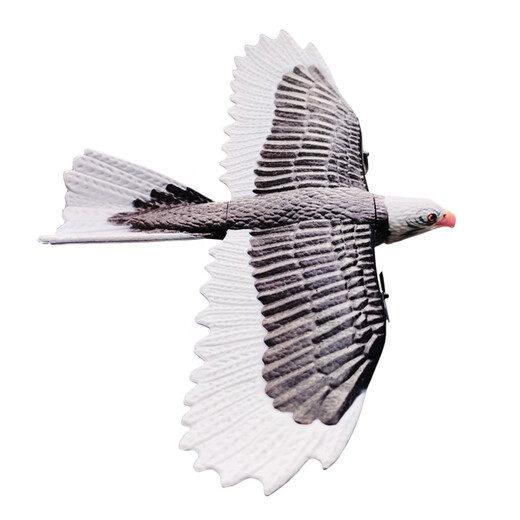 Aeronave de control remoto de volantes simulados de Burjuman, el águila puede volar a la aeronave eléctrica de aviones de ala fija, avión remoto, control remoto Eagle [paquete de regalo] Paquete de tres electricidad (la otra pieza es de 4 piezas en total)