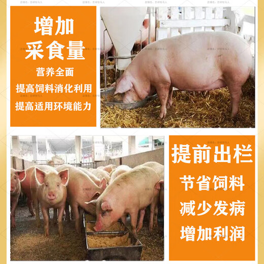 Pig premix, fattening pig premix, small, medium and large pig feed premix, factory direct sales compound premix for pigs, 4% for fattening pigs (pig 60 Jin Jin is equal to 0.5 kg ~ for slaughter)