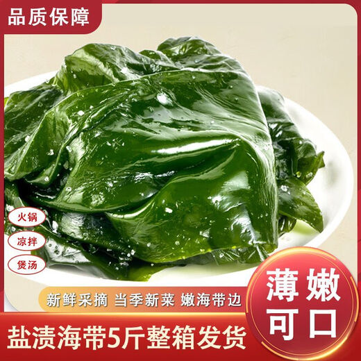 Xiapu fresh kelp, kelp silk, kelp head, hot pot stew and cold salad, salted whole kelp, 5 Jin Jin equals 0.5 kilogram (2500g)