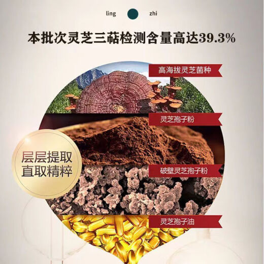 旭福（SCHIFF）美国品牌进口灵芝孢子油胶囊 成人品破壁灵芝孢子粉浓缩萃