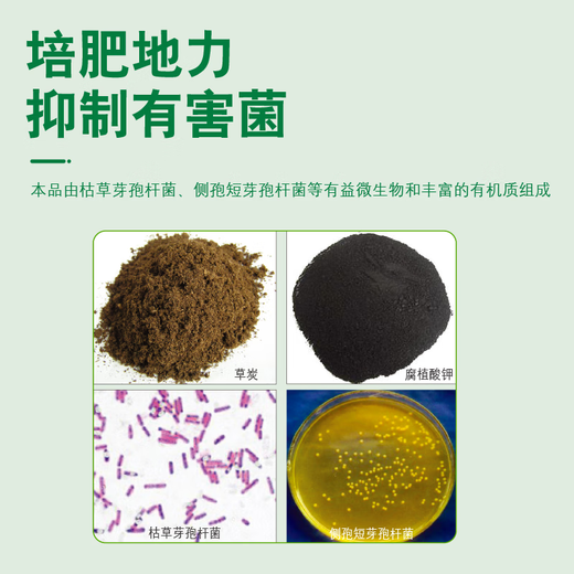 Guoguang Vitality Source Bacillus subtilis саженцы овощей и фруктовых деревьев, активированное удобрение почвы, микробное удобрение 25 кг
