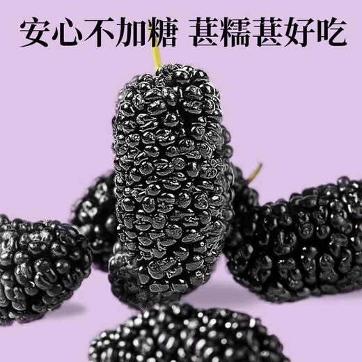1000g of Liuyangyuan Dried Mulberries Selected Xinjiang mulberries with no washing and black ready-to-eat, can be used with black wolfberry to make tea for health