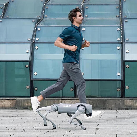 Uniree Yushu Voice Ai Big Mode Machine Dog Electronic Dog Companion Intelligent Bionic Robot GO2-Pro longue durée de vie de batterie + télécommande