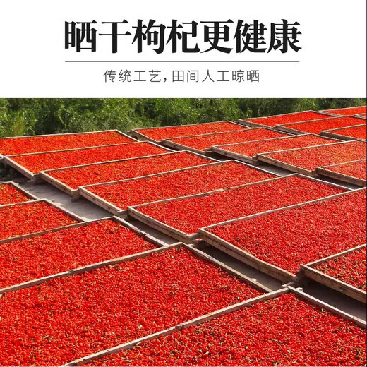 The same style as Ningxia wolfberry, Ningxia wolfberry official flagship store 500g authentic wolfberry, red wolfberry, free wash, soaked in water, and no sulfur [Boutique fruit] First wolfberry 500g*2 cans (stay up late to drink)