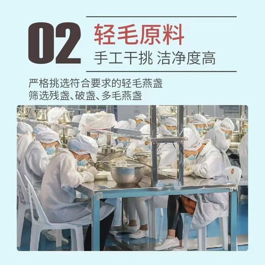 花色堂【黑色星期五】印尼燕窝进口溯源码燕盏疏盏孕妇老人营养滋补品 免煮即食燕窝粉 100g瓶装