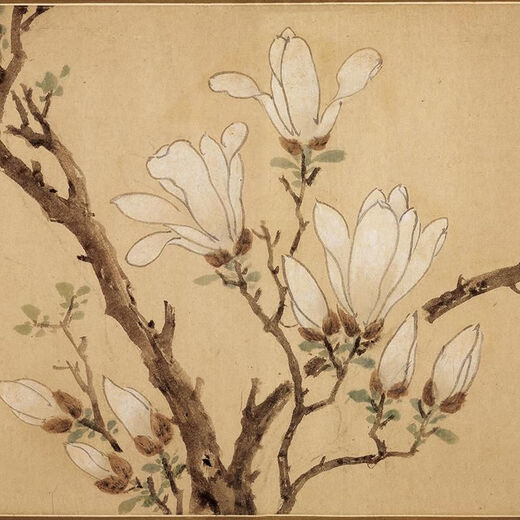 溥畔明文徵明白玉兰图卷花鸟画微喷仿古复制品新中式装饰画卷轴挂画 明文征明白玉兰图卷28X256厘米1 专用宣纸喷绘乳白色横轴装裱