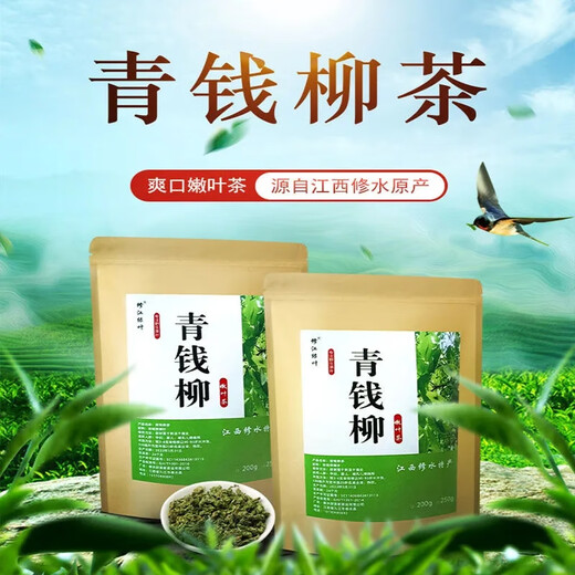Jiangxi Xiushui Qingqian Willow Tea Flaggschiff-Laden Qingqian Liu Jinqian Liu Tender Blattkörner Chinesische Kräutermedizin 300-jährige alte Baumpellets 250 Gramm