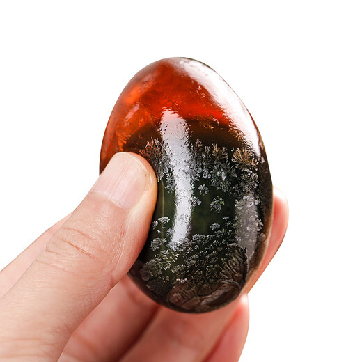 Fishless pine flower eggs 6 pieces 345g