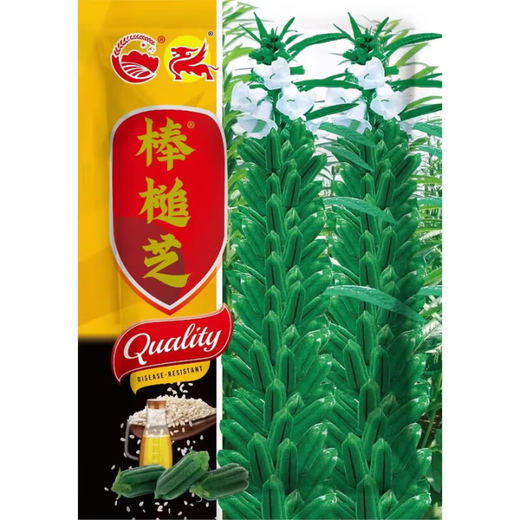 Black sesame seed oil extraction Academy of Agricultural Sciences hybrid high oil stable yield short stem eight-edged white sesame seed base special seed super high sesame seed king original 100g bag