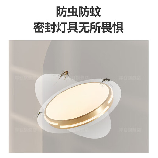 耐用全铜阳台吸顶灯户外防水防蚊虫入户门前灯别墅阳光房庭院 新X3890/51CM/三色可调