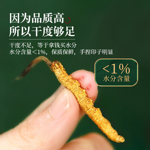 半山农 冬虫夏草断草1克 送父母长辈老人滋补营养品滋补营养品 保真虫草