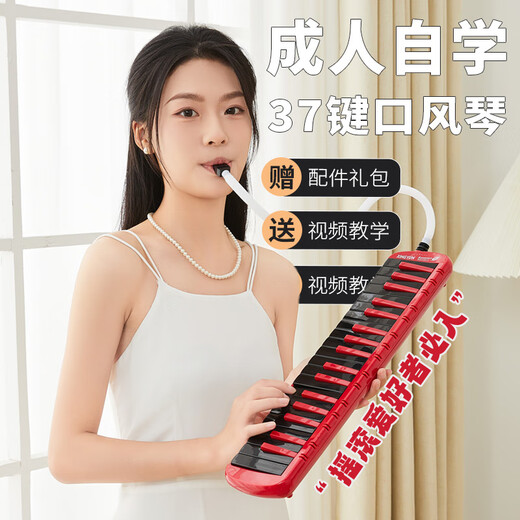 孔声37键口风琴小学生课堂教学专用初中生成人吹管乐器F-37S红黑色