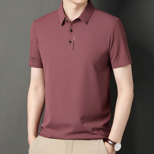 Pierre Cardin T-shirt à manches courtes pour hommes 2025 Été Nouveau glace Polo Collier Collier Couleur décontractée Couleur solide à moitié à manches