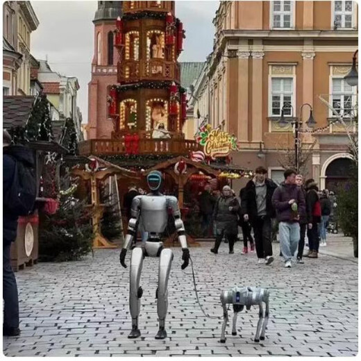 Uniree Robot Unitree Humanoid Robot Yushu Nouvelle humanoïde AI Incarnation Open Source Uniree Précommande G1 Modèle de base 99000