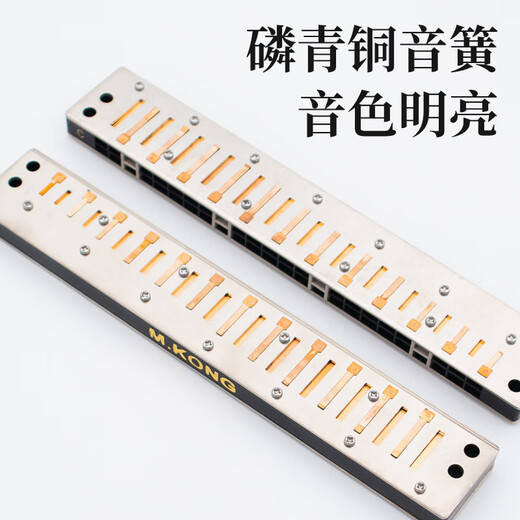 孔声口琴24孔复音C调初学者入门口琴成人口风琴老式口琴 黑色 C调 初学