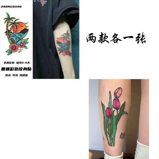 幸书夏日oldschool拼接花臂彩色纹身贴霸气潮酷男女防水彩绘贴纸 C653+C646