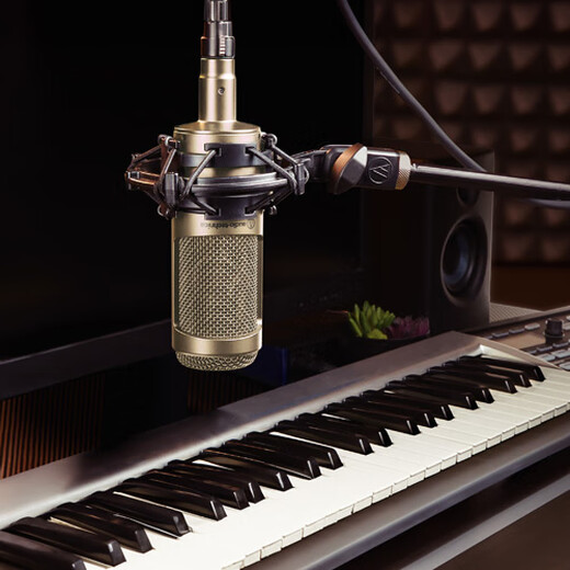 Audio-Technica AT2035 professional condenser microphone, computer live broadcast of karaoke, dubbing, audio book, voice hall professional recording microphone, new color and more discount AT2035 gold