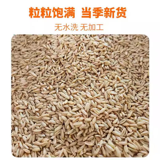 Wheat bran feeding chicken feed fishing fresh wheat bran maifuzi wheat compress skin wheat bran bran 5 Jin Jin equals 0.5 kg 80 Jin Jin equals 0.5 kg Oats 5 Jin Jin equals 0.5 kg