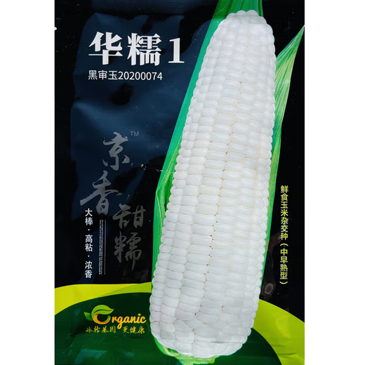 White, sweet and waxy corn seeds, high-yielding, sown in all seasons, white and waxy corn, non-transferable, national-approved, farmers’ super-sweet and waxy corn seeds, Xinnuo 628 corn seeds, original 200g, 1 bag