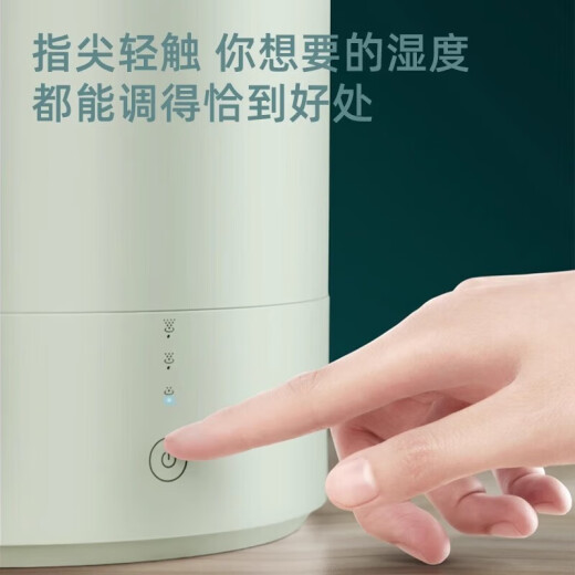 飞科（FLYCO） 加湿器 4L家用轻音卧室孕妇婴儿大容量办公空气小型迷你加湿器 FH9207白色