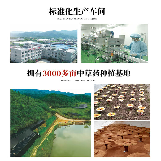 元生泰高三萜 灵芝孢子油软胶囊破壁灵芝孢子粉精华 中老年人保健品 