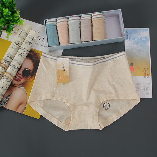 UHFR -Schönheitssalon Hi Milliarden Lieblings -Baumwoll -Reisfeld -Unterwäsche Damen -Baumwoll -Shorts Weekly Hosen farbige Baumwollbiologische Baumwoll -Middle -Bären 9215 [M] 6 Packs [Andere Stil 1] Alle Größe