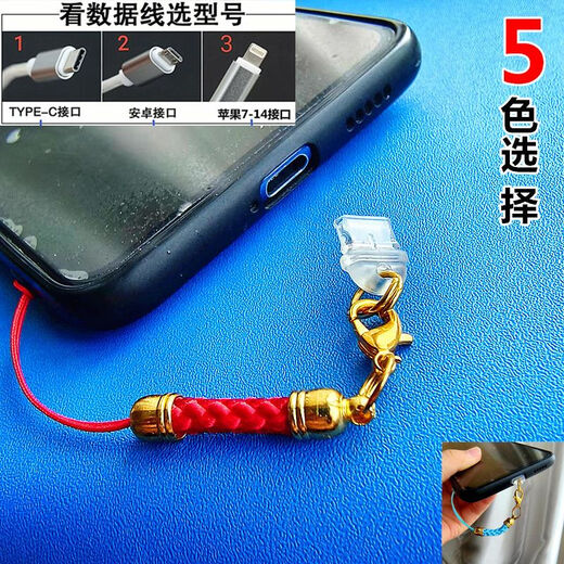 Mobile phone charging port dust-proof plug simple color lanyard hole jewelry pendant rope chain couple male and female student gift golden big red rope Apple 15 interface oval plug single plug