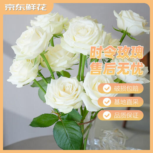 Jingdong Flowers Baixueshan Rose 10 Ruyi Base Fresh-cut Flowers Water-raised Flower Arrangement Lifestyle Bouquet Gifts Straight from the Source
