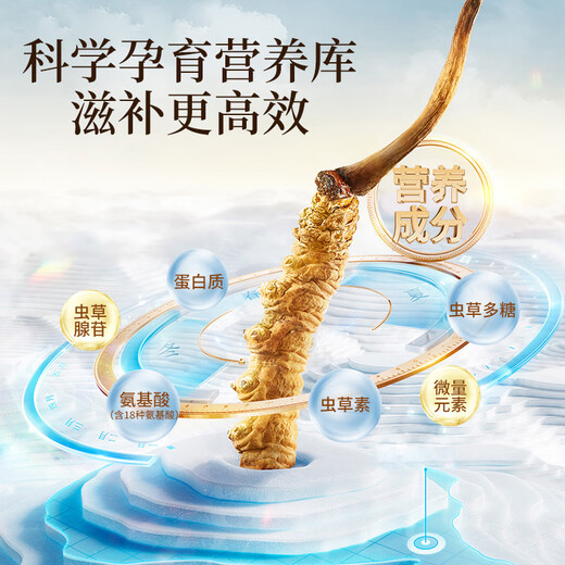 雷允上冬虫夏草4根/g 约10g约40根 滋补养生礼品补品送长辈父亲节礼物
