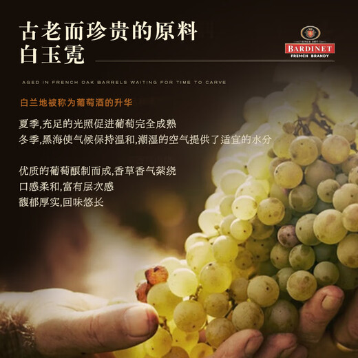 必得利（Bardinet） 洋酒 VSOP 白兰地 700ml 口粮酒