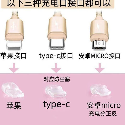 Mobile phone charging port dust-proof plug simple color lanyard hole jewelry pendant rope chain couple male and female student gift golden big red rope Apple 15 interface oval plug single plug