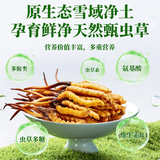 2025 frischer Cordyceps sinensis obere Periode ausgewählt frisch cordyceps Tibet frisch Cordyceps 0,7 Gramm pro Packung von 50 Teilen