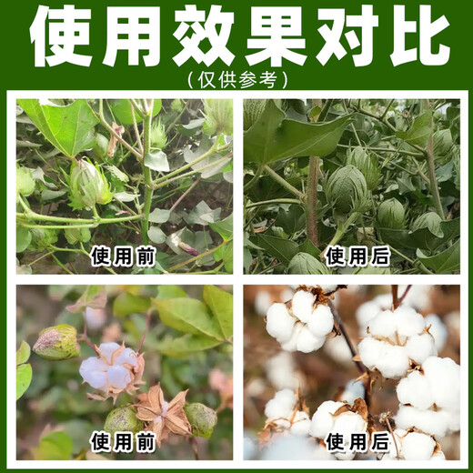 Barometer 1.8% sodium nitrophenolate plant growth regulator cotton regulates plant growth genuine pesticide sodium phenolate 200g*4 bottles welfare model