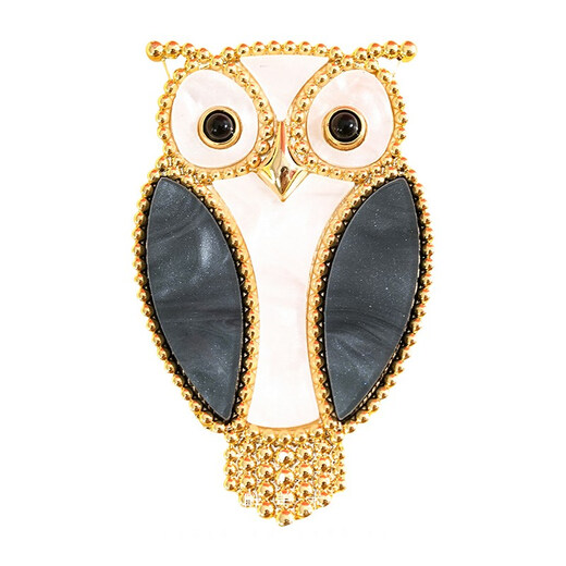 Feiyu A cute owl brooch women's niche high-end exquisite fashion luxury temperament high-end light luxury with suit owl brooch