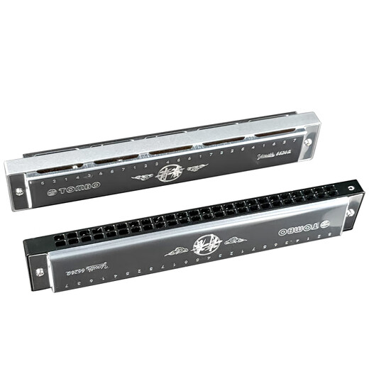 Tongbao Japan Tongbao Neue polyphonische Harmonika 6624q Jugend 24 Anfänger an Anfänger, um Metall Zither C -Melodie - Black Metal Zher zu ändern