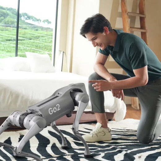 Singularity Human Vierbeinige Roboter Stimme AI Big Model Roboter Intelligent vierbeinige Roboter-Hundevermietungsservice (Gruppenkontroll-Tanzleistung Service)