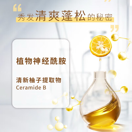 Silk Yun Moisturizing Charming Volume Airy Moisturizing Elastin 150ml + Yuzu 680ml Shampoo