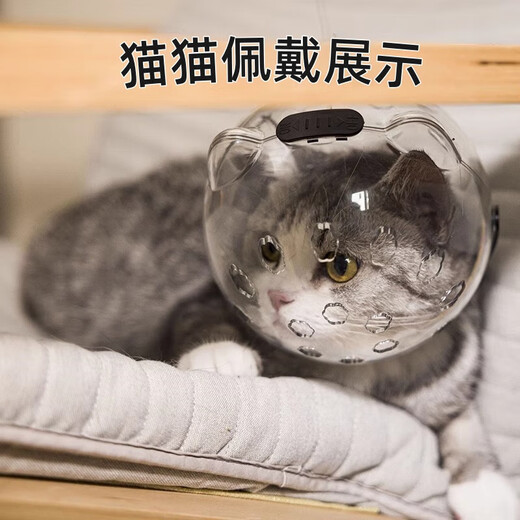 Miling cat space hood Elizabethan ring sterilization protective hood anti-biting and licking break-away cat muzzle bathing and nail clipping Large size - recommended 10 Jin Jin equals 0.5 kg Cat