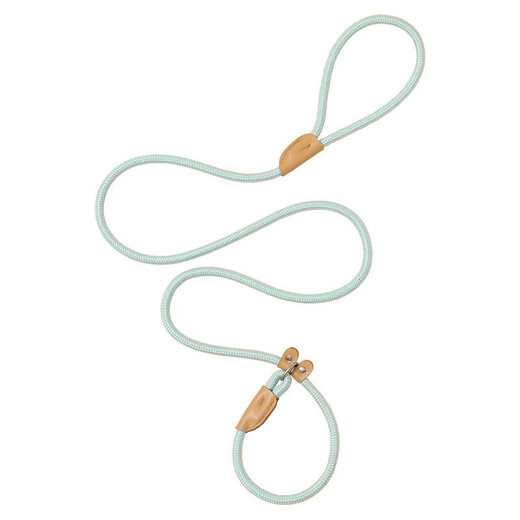 Dog rope training p chain explosion-proof dog walking rope dog rope chain medium p rope large, medium and small dog walking dog leash sky blue 1.5*0.6