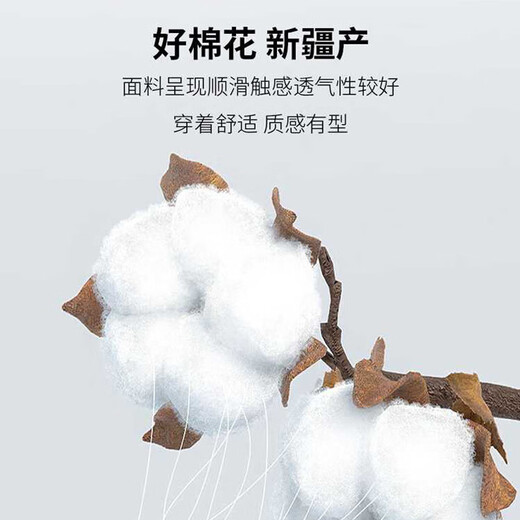 ROMON couleur unie affaires vêtements de cérémonie professionnels chemise blanche pour hommes veste de travail chemise à manches longues couche de base pour hommes blanc 2XL