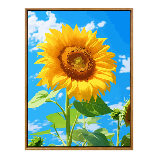 初构想向阳而生向日葵数字油画diy填色画客厅挂画装饰画手绘油彩画 SJ14382 60*80cm绷好加厚实木内框+外框(