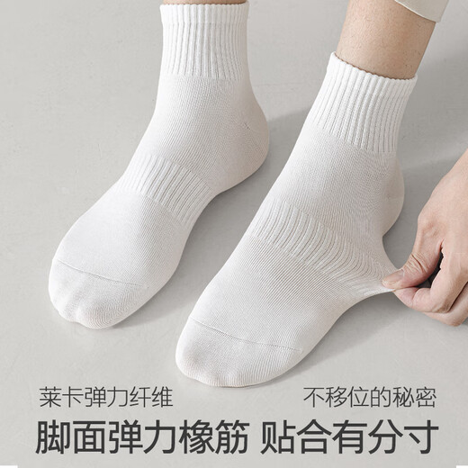 棉小念袜子男士短袜夏季薄款【100%纯棉10A抗菌防臭】透气低帮短筒6双装