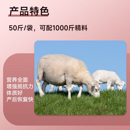 Jin Haoyuan Jin Haoyuan 5% ewe premix 50 Jin Jin is equal to 0.5 kg to improve postpartum recovery of breeding milk